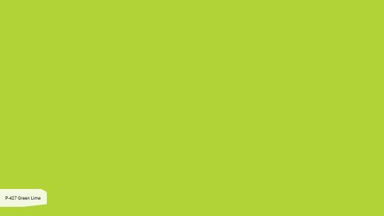 GRANDEX P 427 Дикий Лайм / Green Lime